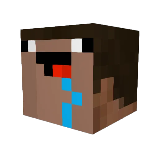 xFunFacT Minecraft avatar head, 3D render
