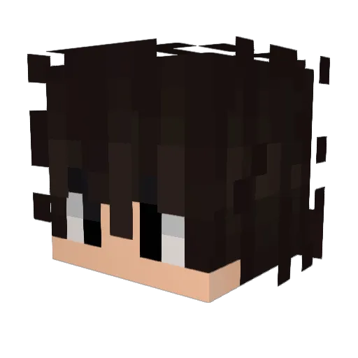 xFurioXx Minecraft avatar head, 3D render