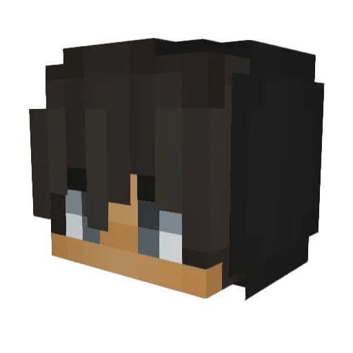 xFv_ Minecraft avatar head, 3D render