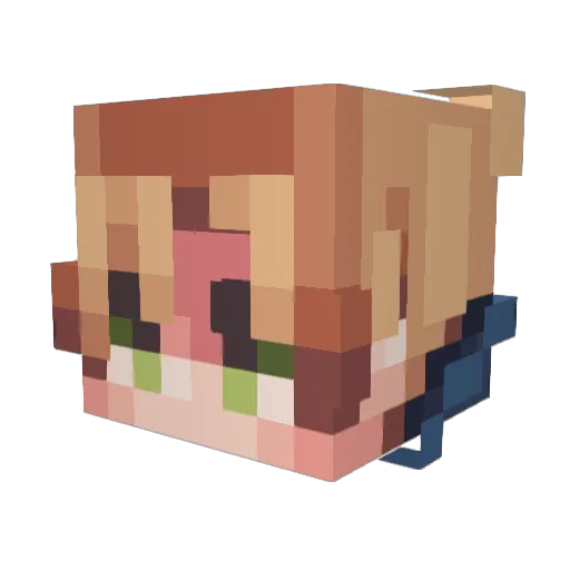 xFxry Minecraft avatar head, 3D render