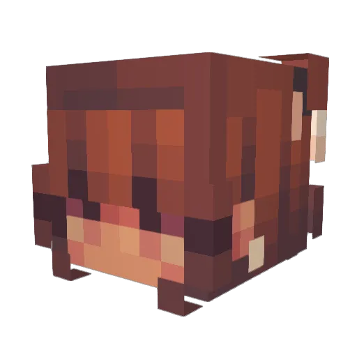 xGelli Minecraft avatar head, 3D render