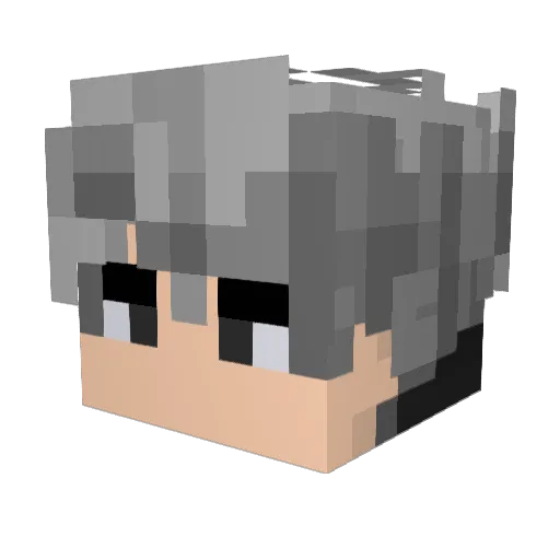 xGoSu Minecraft avatar head, 3D render