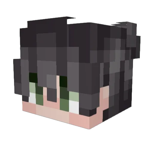 xGon_ Minecraft avatar head, 3D render
