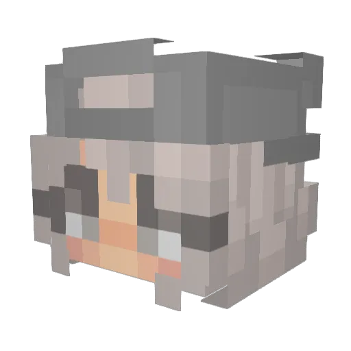 xGravity_ Minecraft avatar head, 3D render