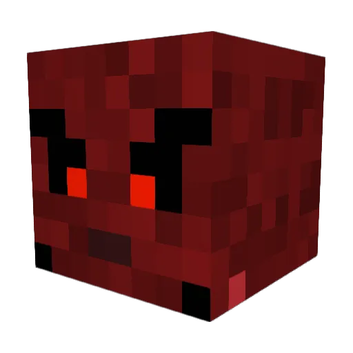 xHackusationsx Minecraft avatar head, 3D render