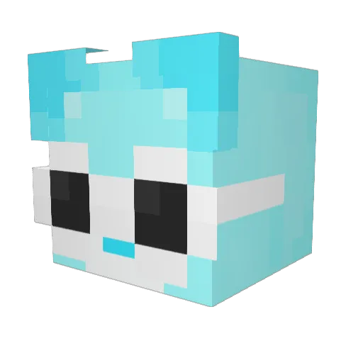 xHanan_PvP Minecraft avatar head, 3D render