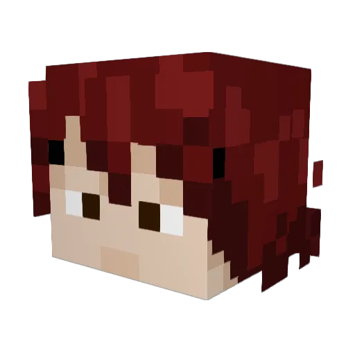 xHanseNx Minecraft avatar head, 3D render