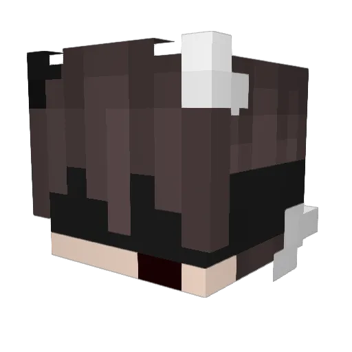 xHateAidan Minecraft avatar head, 3D render