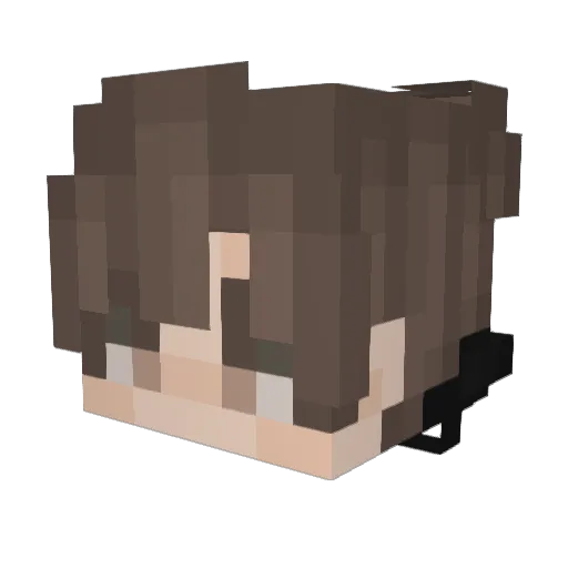 xHayd3n Minecraft avatar head, 3D render