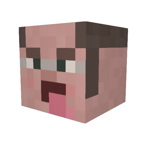 xHexicon Minecraft avatar head, 3D render