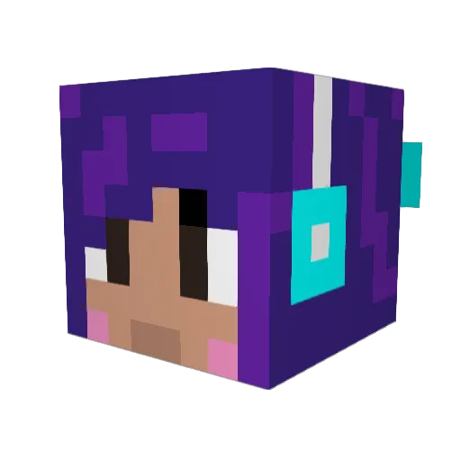 xHeydayjs Minecraft avatar head, 3D render