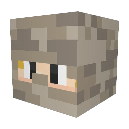 xIBurned Minecraft avatar head, 3D render