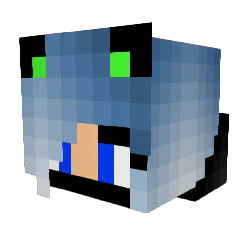 xICarbon Minecraft avatar head, 3D render