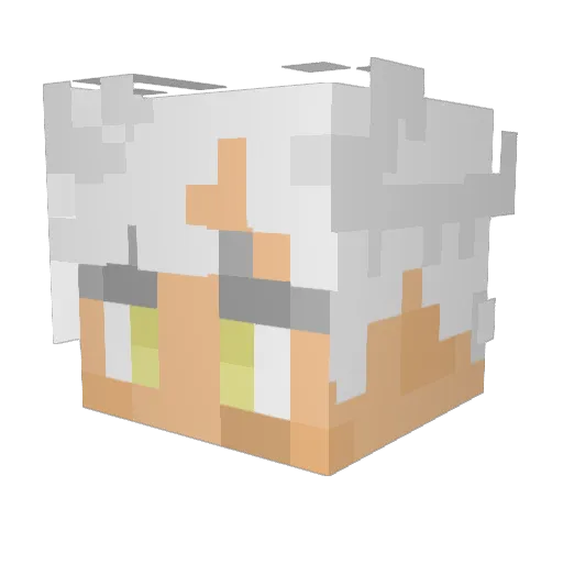 xIDrac Minecraft avatar head, 3D render