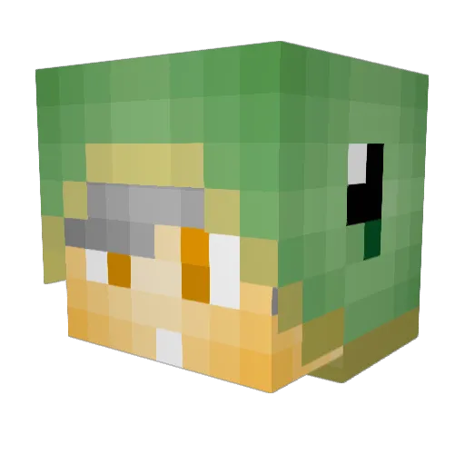 xILikeTurtlezZz Minecraft avatar head, 3D render