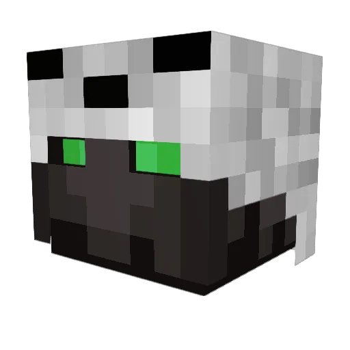 xIPlaxi Minecraft avatar head, 3D render