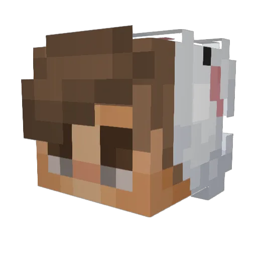 xISariusIX Minecraft avatar head, 3D render