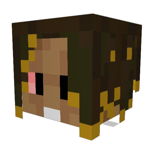 xIamLeqit Minecraft avatar head, 3D render