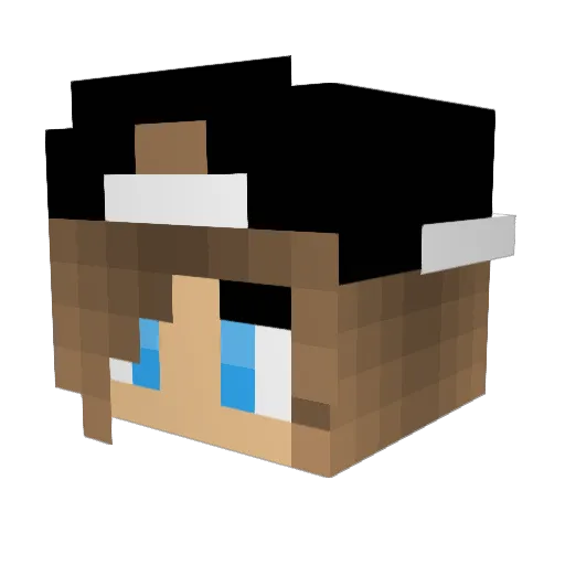xIllyx Minecraft avatar head, 3D render
