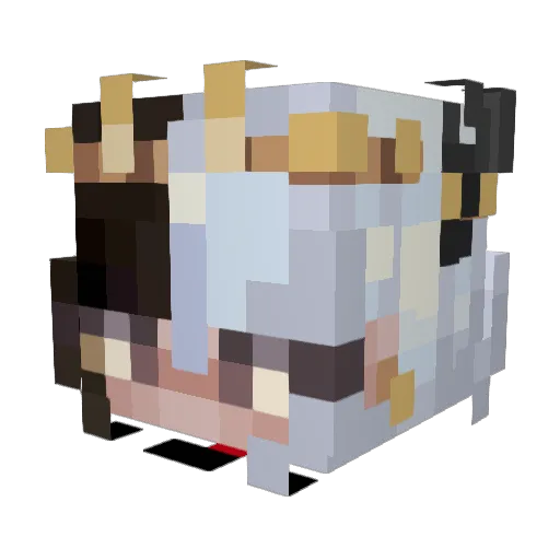 xImArchie Minecraft avatar head, 3D render