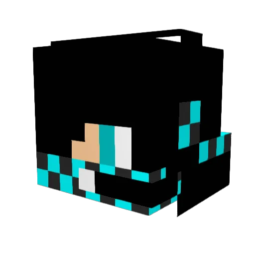 xInsaneGamer9x Minecraft avatar head, 3D render