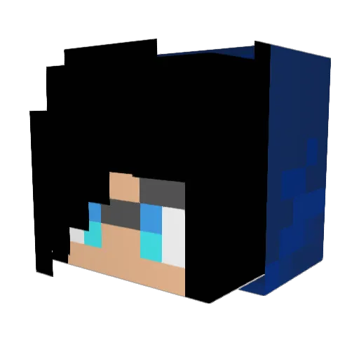 xInsanitii Minecraft avatar head, 3D render