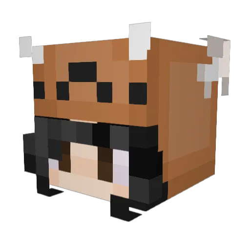 xInstantRamenx Minecraft avatar head, 3D render