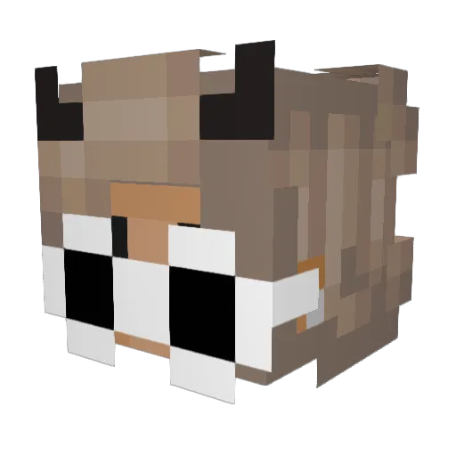 xIrisss Minecraft avatar head, 3D render
