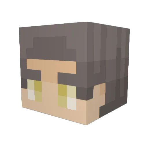xItsEllex Minecraft avatar head, 3D render