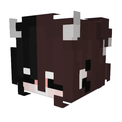 xItzLucyx Minecraft avatar head, 3D render
