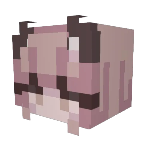 xJackS Minecraft avatar head, 3D render