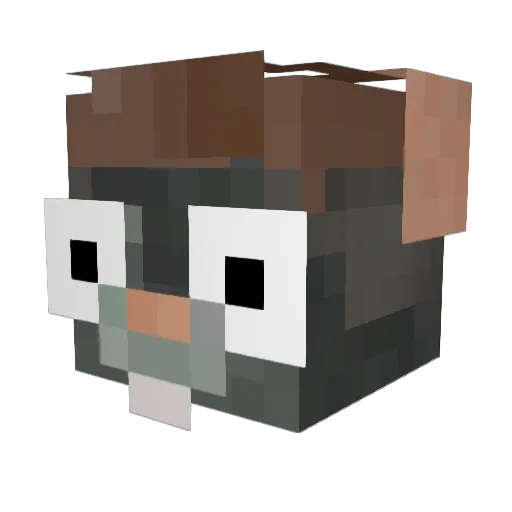 xJayPi Minecraft avatar head, 3D render