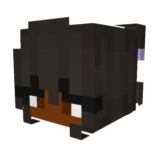 xJay_la Minecraft avatar head, 3D render