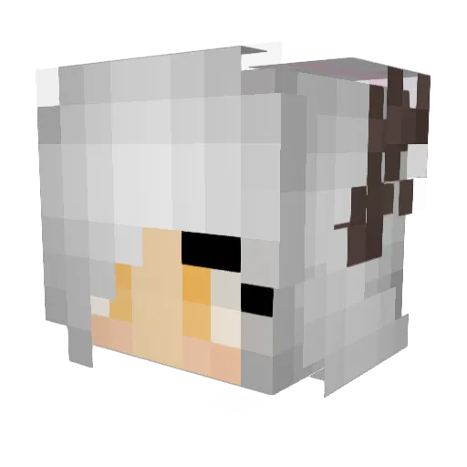 xJippi Minecraft avatar head, 3D render