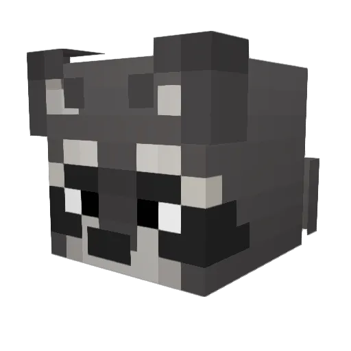 xJuansHx Minecraft avatar head, 3D render