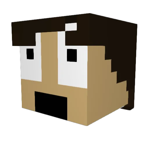 xJustDomisFrau Minecraft avatar head, 3D render