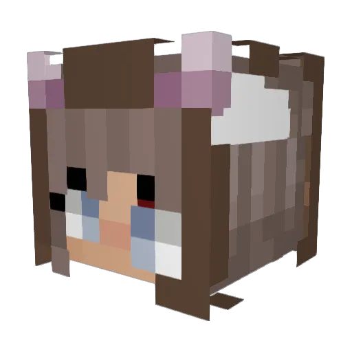 xKL20x Minecraft avatar head, 3D render