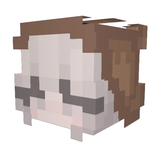 xKaraurax Minecraft avatar head, 3D render