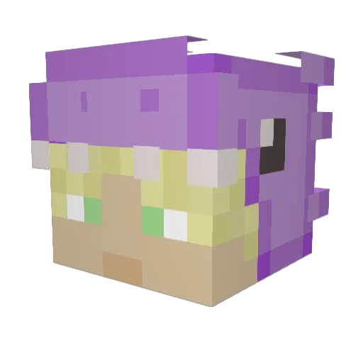 xKayJayx Minecraft avatar head, 3D render