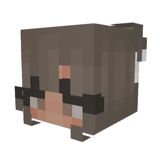 xKayla2708x Minecraft avatar head, 3D render