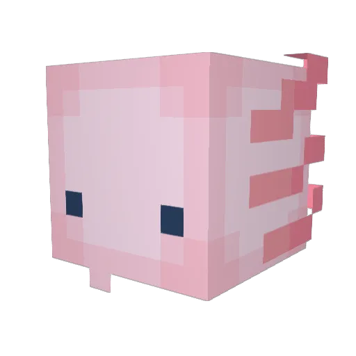 xKido_Officials Minecraft avatar head, 3D render