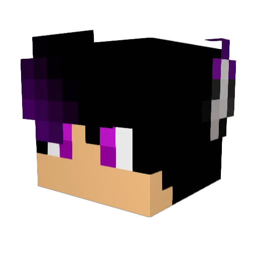 xKingWolfz Minecraft avatar head, 3D render