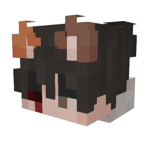 xKolerkoj Minecraft avatar head, 3D render