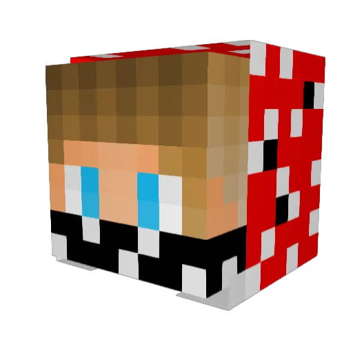 xKomischerJoni Minecraft avatar head, 3D render