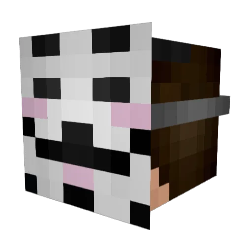 xKrollex Minecraft avatar head, 3D render