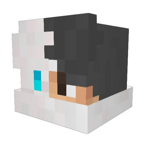xKrypt0n Minecraft avatar head, 3D render