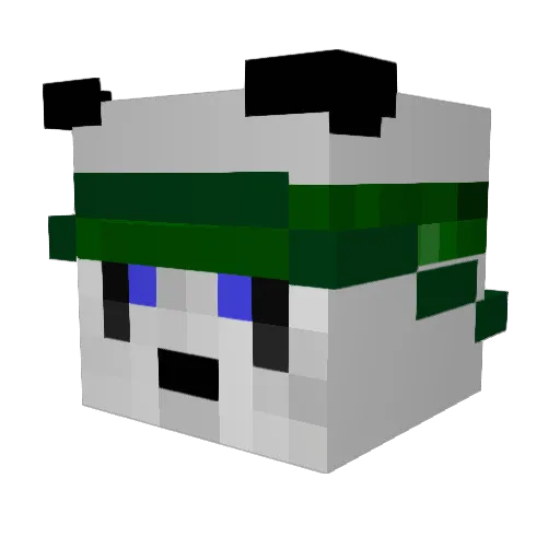 xKyZoo Minecraft avatar head, 3D render