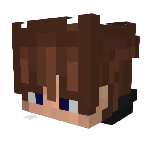 xLee_O Minecraft avatar head, 3D render