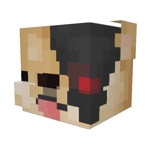 xLemonPay Minecraft avatar head, 3D render