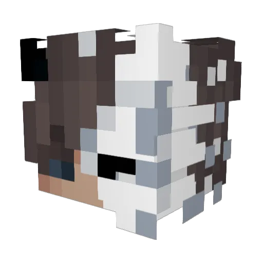 xLeoXD Minecraft avatar head, 3D render